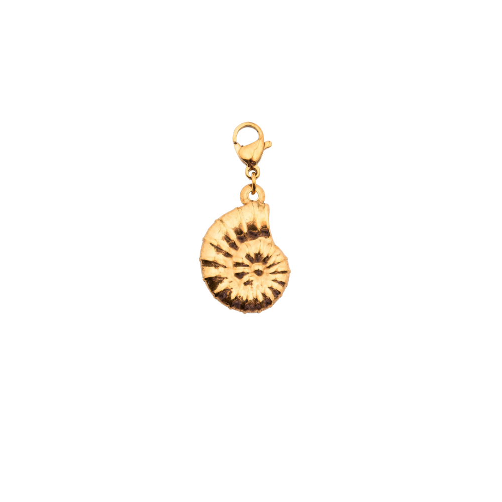 Nautilus Shell Golden Charm