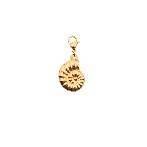 Nautilus Shell Golden Charm